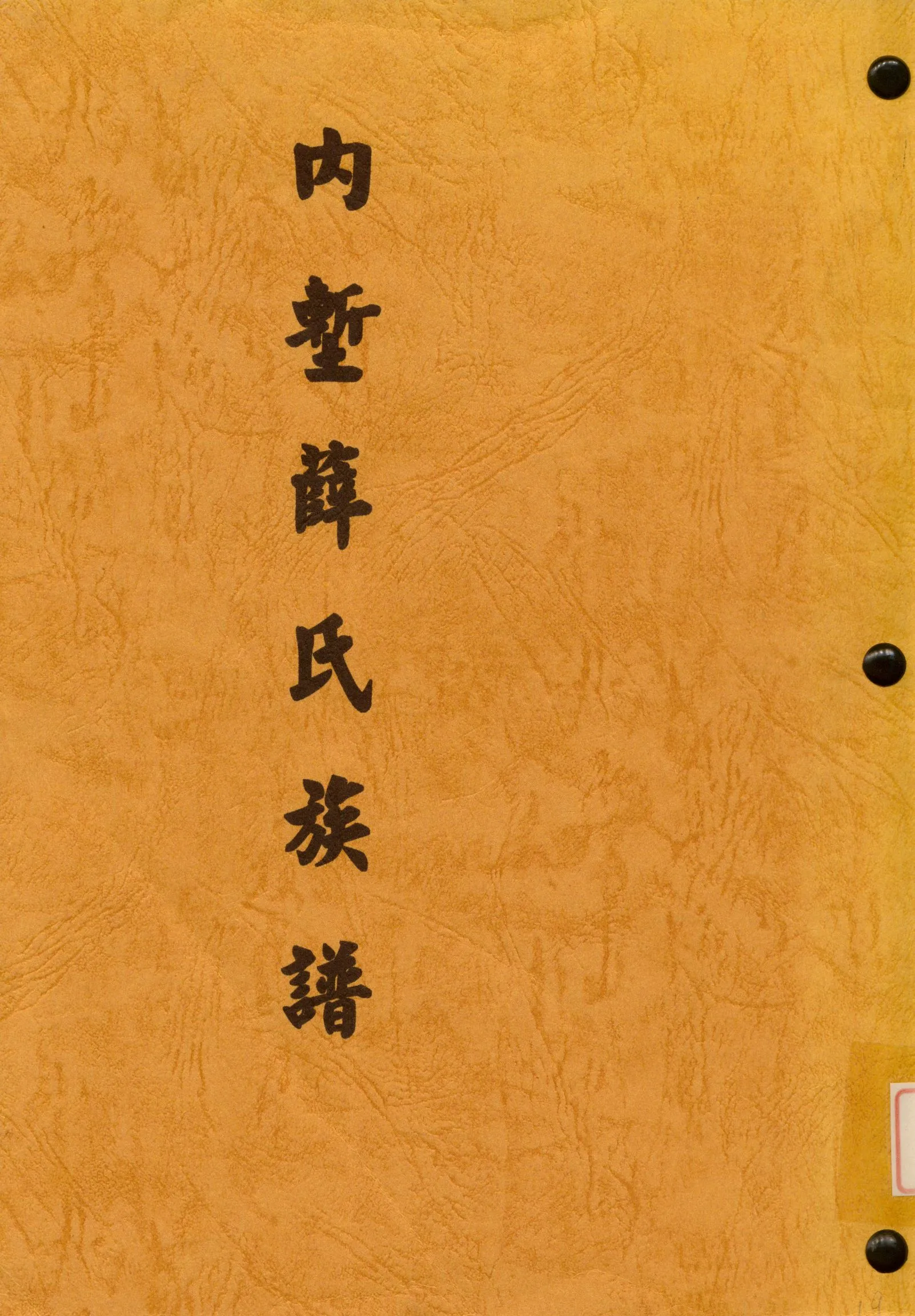 《內塹薛氏族譜》 作者:薛先正 不詳年  PDF下载-汉笺公版书