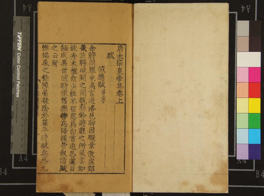 《唐人集□□種□□卷》作者：(明)明佚名輯  銅活字本  PDF下载-汉笺公版书