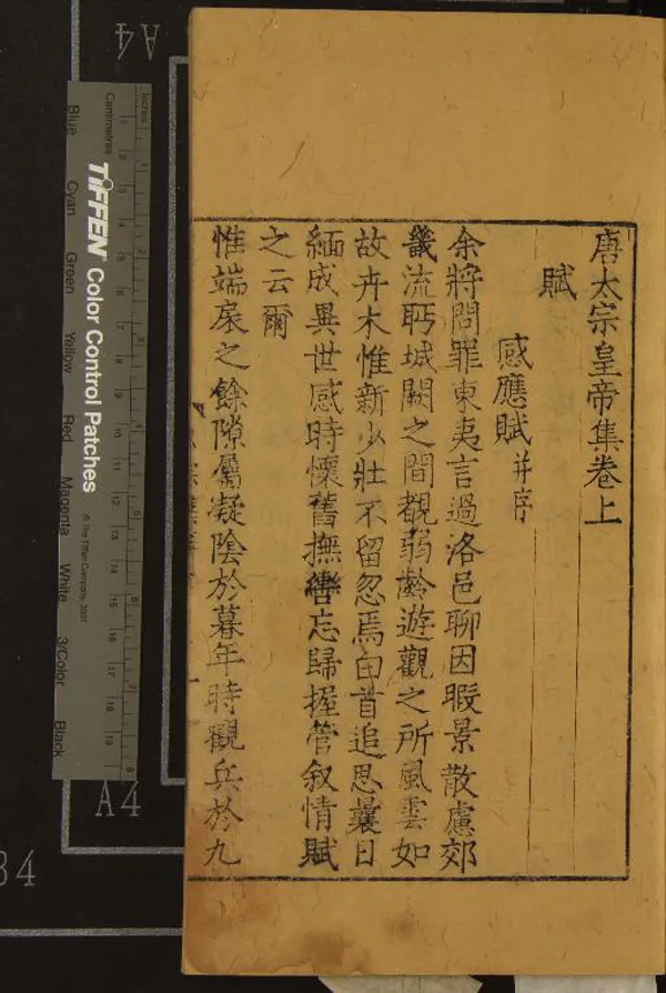 《唐人集□□種□□卷》作者：(明)明佚名輯  銅活字本  PDF下载-汉笺公版书