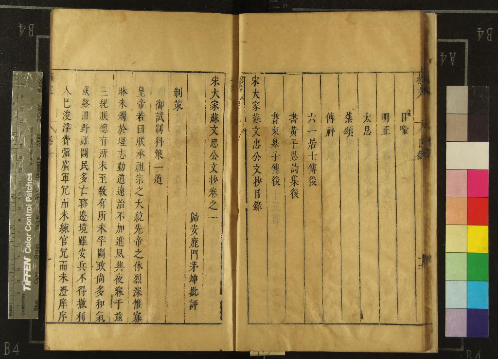 《宋大家蘇文忠公文抄二十八卷》作者：(明崇禎)宋蘇軾撰，明茅坤編  刻本  PDF下载-汉笺公版书