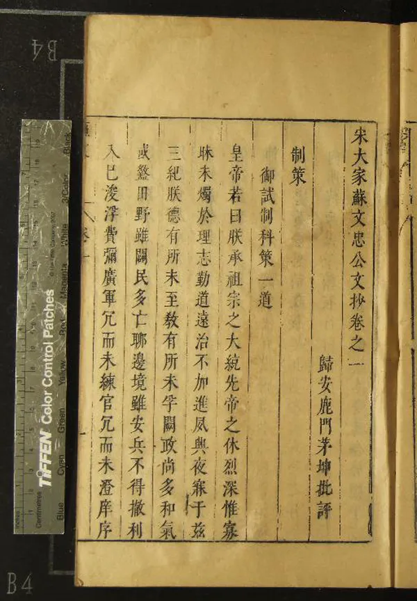 《宋大家蘇文忠公文抄二十八卷》作者：(明崇禎)宋蘇軾撰，明茅坤編  刻本  PDF下载-汉笺公版书