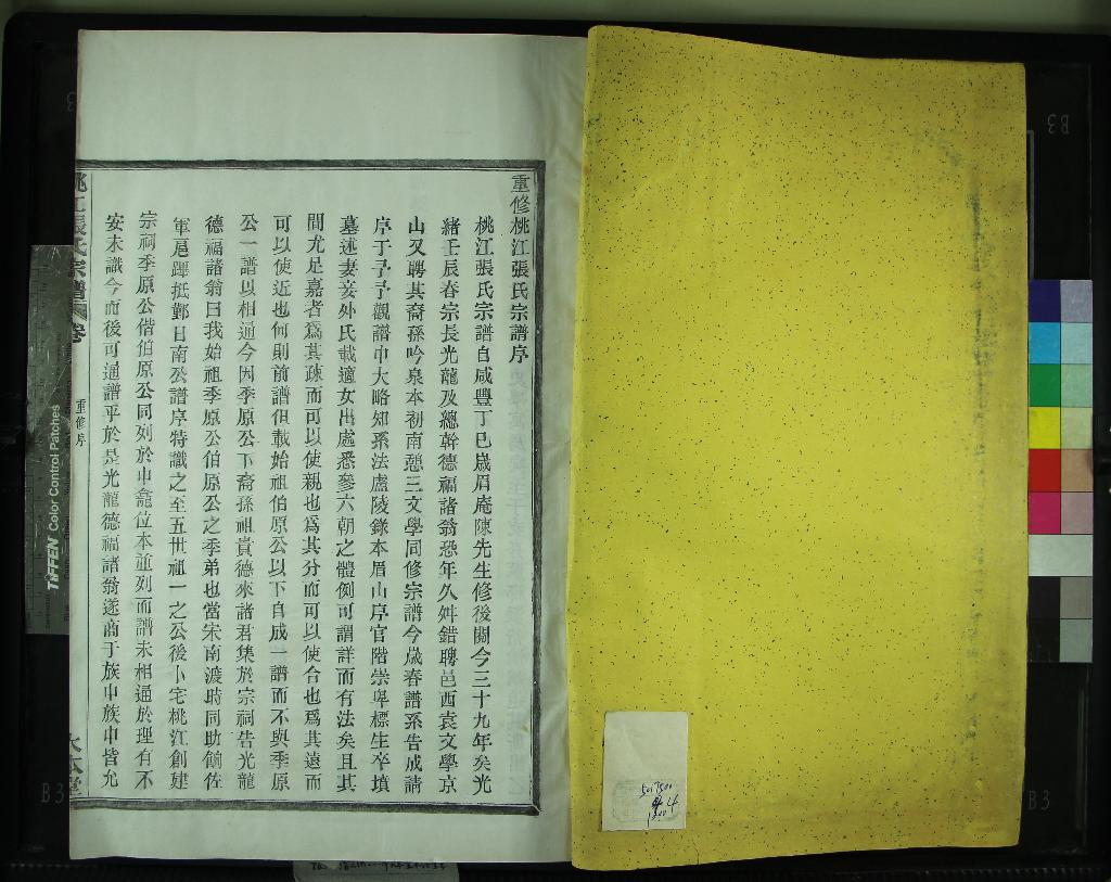 《[浙江鄞縣]桃江張氏宗譜八卷首一卷》作者：(清光緒)清張光龍修、清袁政襄纂  活字本  PDF下载-汉笺公版书