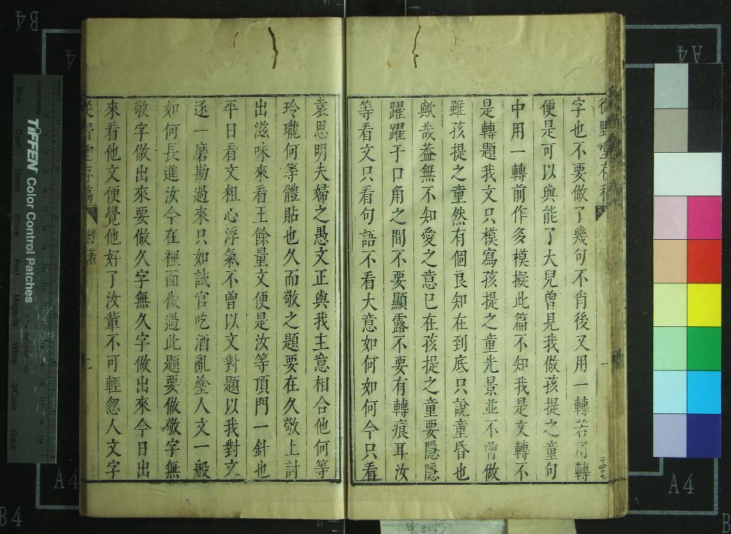 《從野堂存稿八卷》作者：(明崇禎)明繆昌期撰、明方岳貢、劉興秀訂、明繆虛白、繆孫畯輯  刻本  PDF下载-汉笺公版书