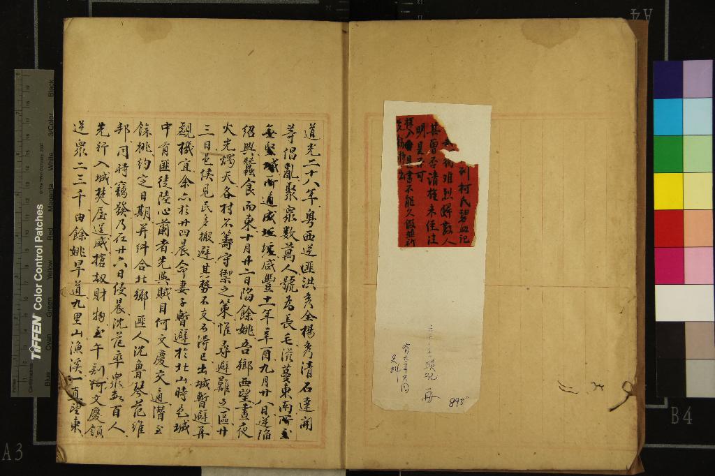 《辛壬瑣記一卷碧血記一卷》作者：(清)清柯超撰  稿本  PDF下载-汉笺公版书