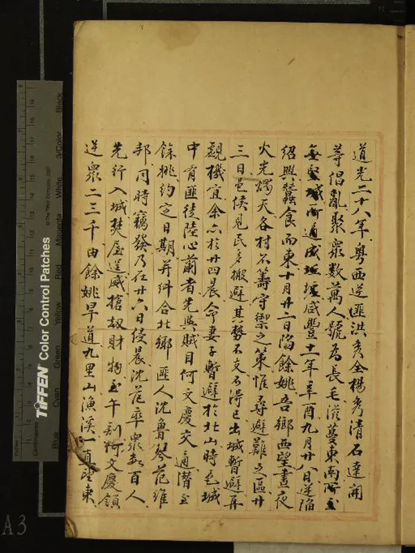 《辛壬瑣記一卷碧血記一卷》作者：(清)清柯超撰  稿本  PDF下载-汉笺公版书