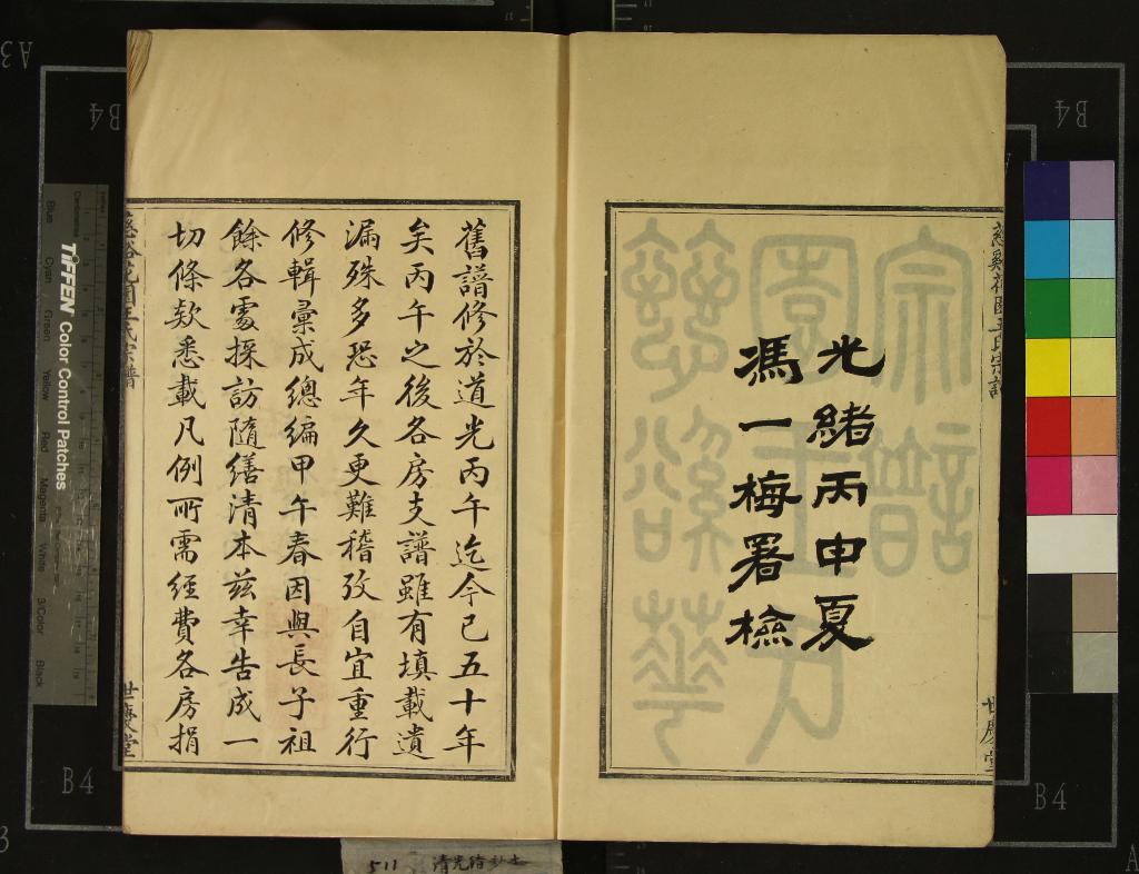 《[浙江寧波]慈谿花園王氏宗譜十八卷》作者：(清光緒)清王棣纂修  抄本  PDF下载-汉笺公版书