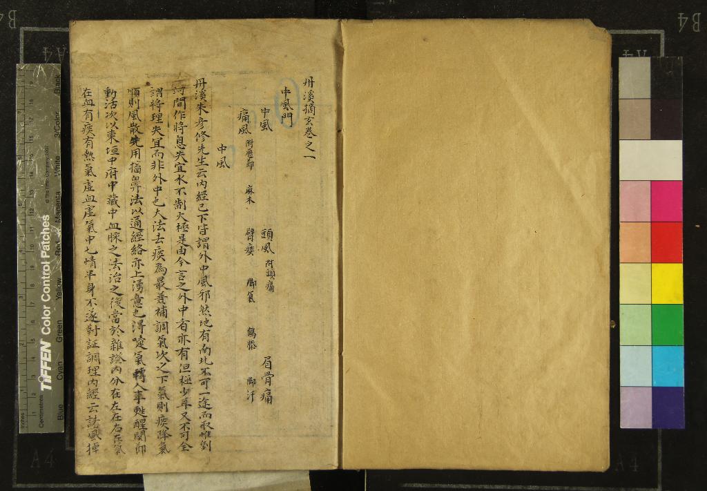 《丹溪摘玄二十卷》作者：(明)明不著撰者  抄本  PDF下载-汉笺公版书