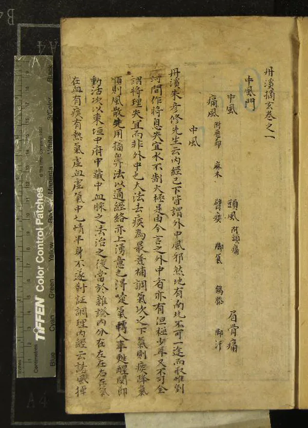 《丹溪摘玄二十卷》作者：(明)明不著撰者  抄本  PDF下载-汉笺公版书