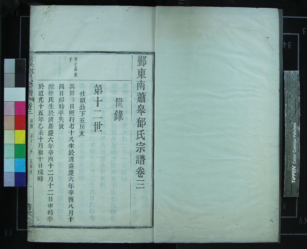 《[浙江鄞縣]鄞東南蕭皋郁氏宗譜五卷》作者：(民國)民國佚名撰  活字本  PDF下载-汉笺公版书