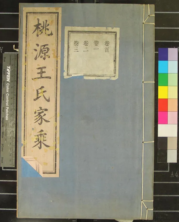 《[浙江鄞縣]桃源王氏宗譜十六卷首一卷》作者：(民國)民國王隆惠、陳紹虞等纂修  活字本  PDF下载-汉笺公版书