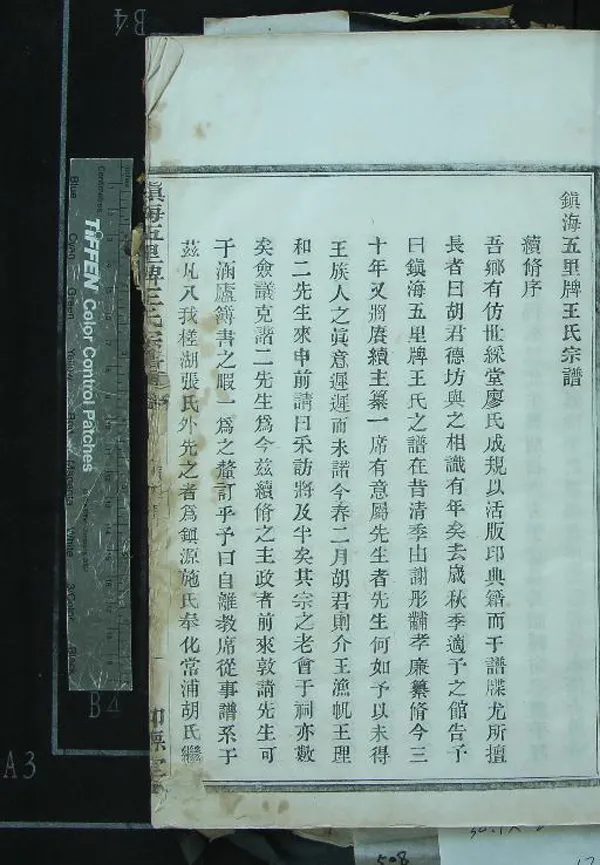 《鎮海五里牌王氏宗譜十七卷》作者：(民國)民國張琴等纂修  活字本  PDF下载-汉笺公版书