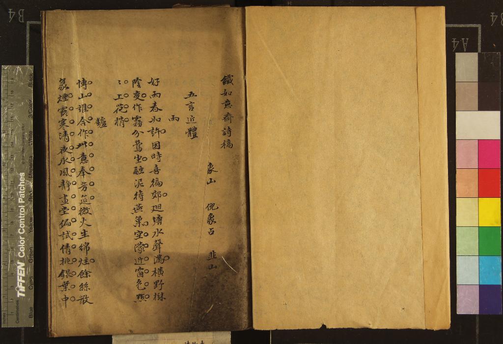 《鐵如意齋詩稿一卷》作者：(清)清倪象占撰  抄本  PDF下载-汉笺公版书