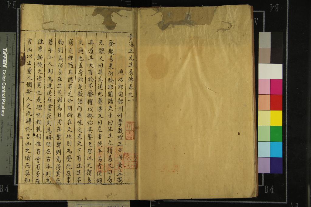 《童溪王先生易傳三十卷》作者：(明)宋王宗傳撰  抄本  PDF下载-汉笺公版书