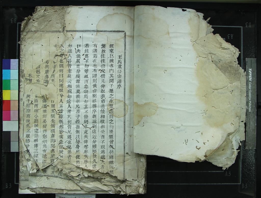 《[浙江新昌]天姥官塘王氏宗譜四卷》作者：(清同治)清王尚輔修、清王尚候等纂  活字本  PDF下载-汉笺公版书