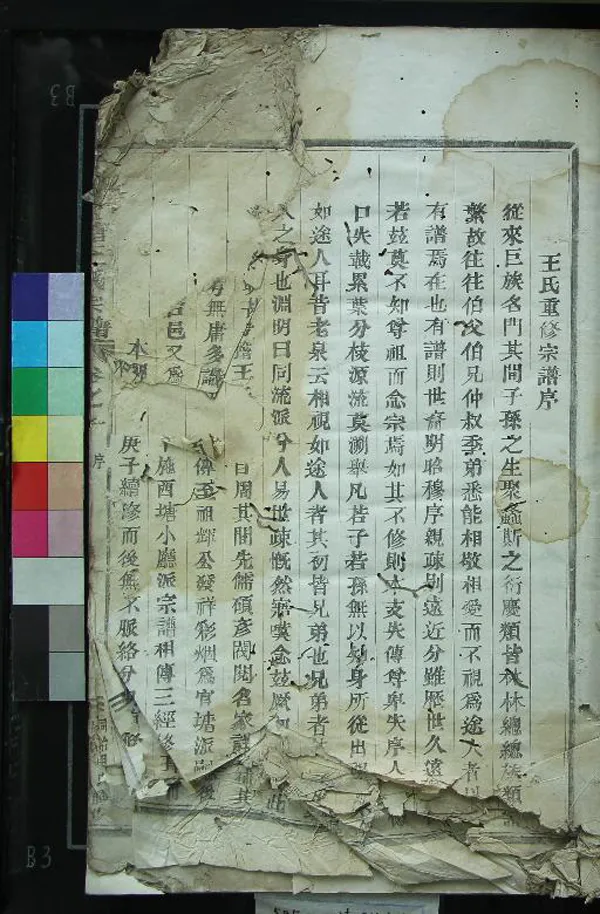 《[浙江新昌]天姥官塘王氏宗譜四卷》作者：(清同治)清王尚輔修、清王尚候等纂  活字本  PDF下载-汉笺公版书