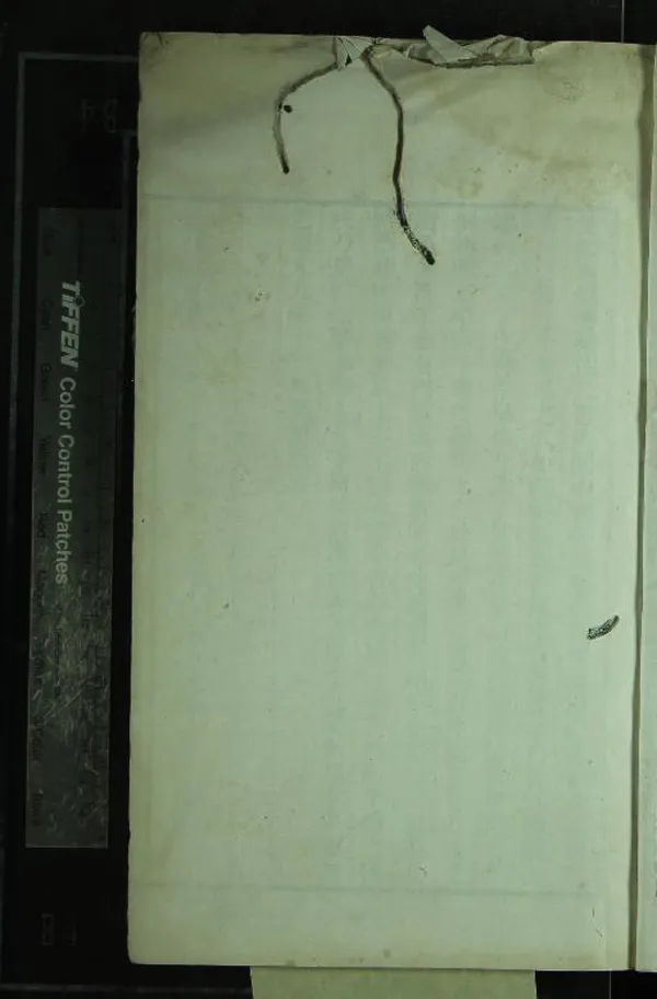 《大興徐氏三種（存一種）》作者：(清道光)清徐松撰  刻本  PDF下载-汉笺公版书