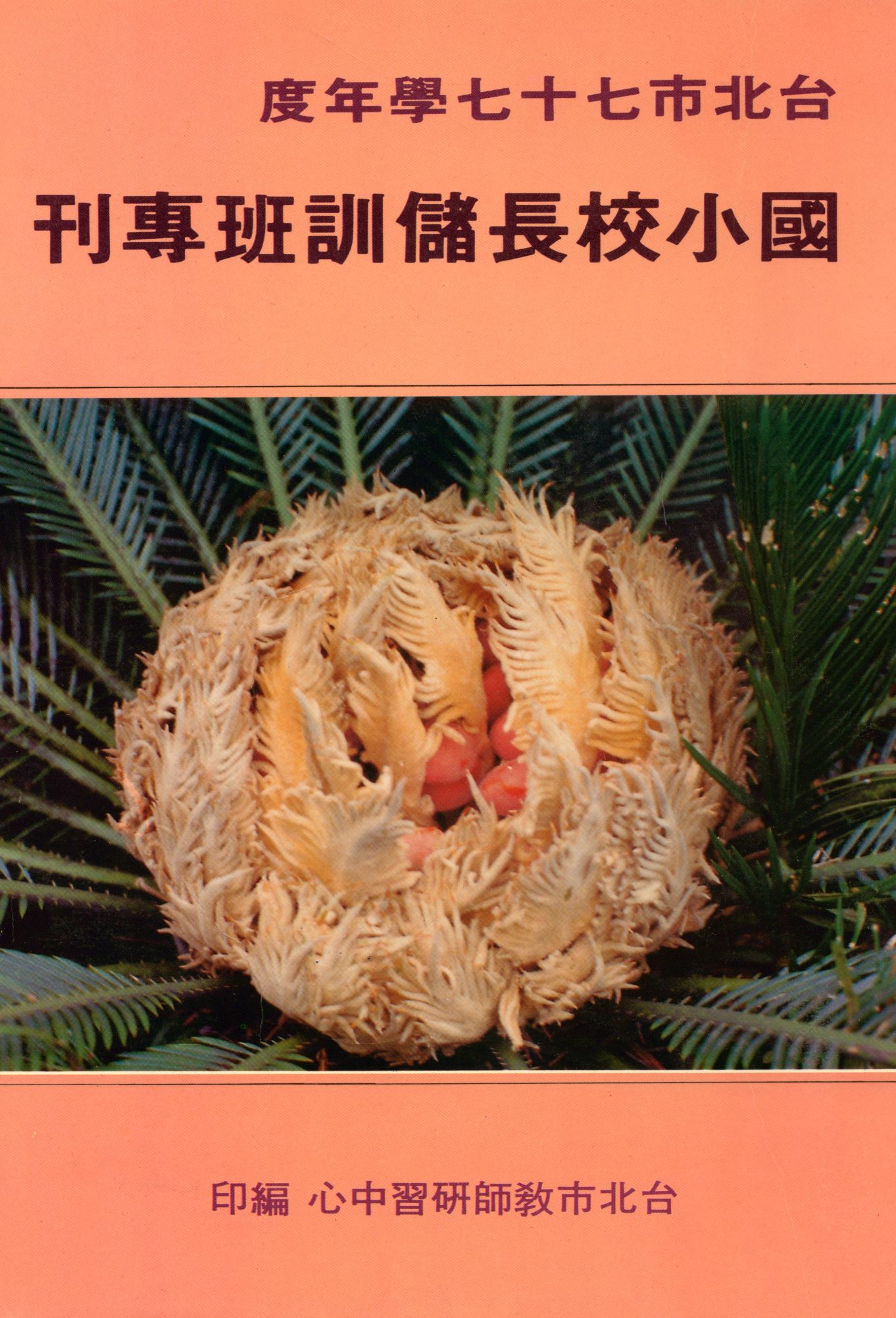 《臺北市...國民小學校長儲訓班專刊》 作者:臺北市教師研習中心編  1990年  PDF下载-汉笺公版书