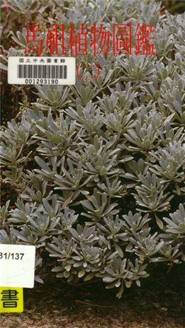 《馬祖植物圖鑑 v.2》 作者:鄭元春,黃淑芳著 1993年  PDF下载-汉笺公版书