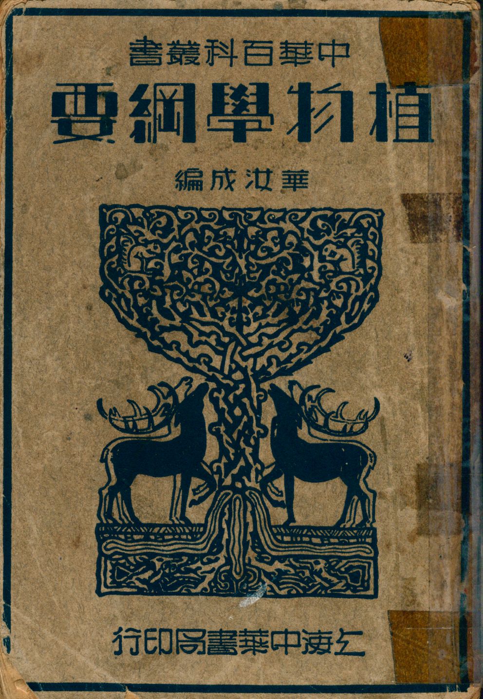 《植物學綱要》 作者:華汝成編 1941年  PDF下载-汉笺公版书