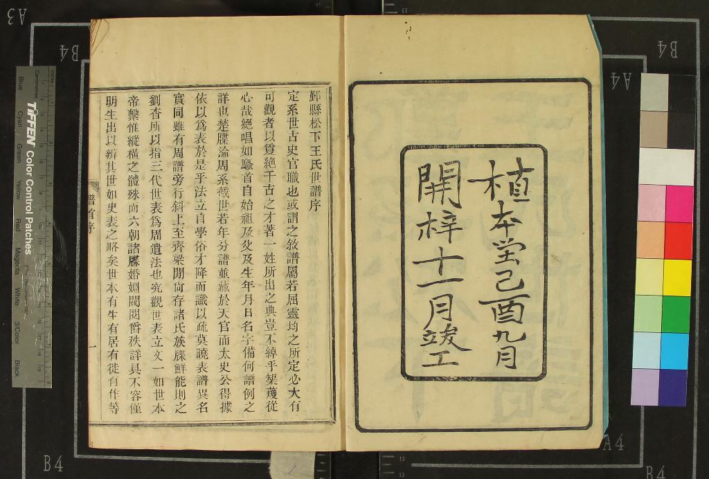 《[浙江鄞州]鄞县松下王氏世譜二十卷首一卷附一卷》作者：(清宣統)清應朝光纂修  活字本  PDF下载-汉笺公版书