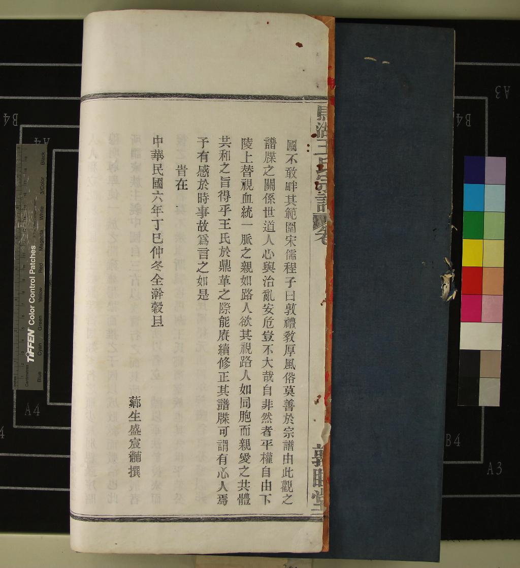《[浙江鄞縣]馬湖後宅王氏宗譜十卷首一卷》作者：(民國)民國盛宸黼纂修  活字本  PDF下载-汉笺公版书