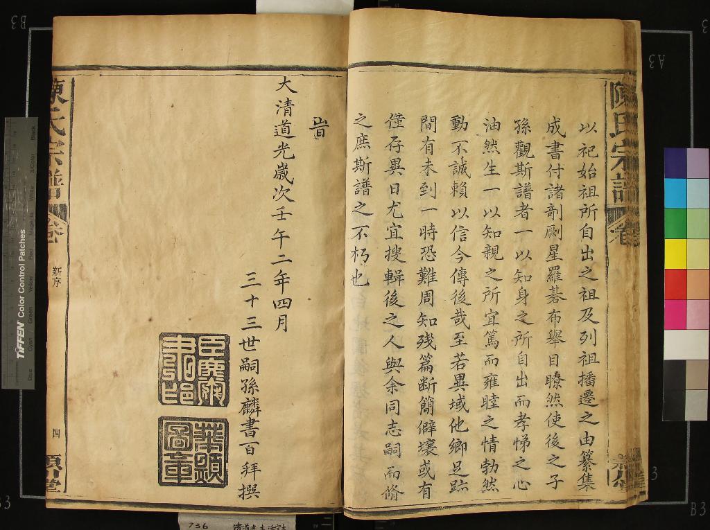 《[福建建陽]陳氏宗譜十四卷首一卷》作者：(清道光)清陳麟書纂修  活字本  PDF下载-汉笺公版书