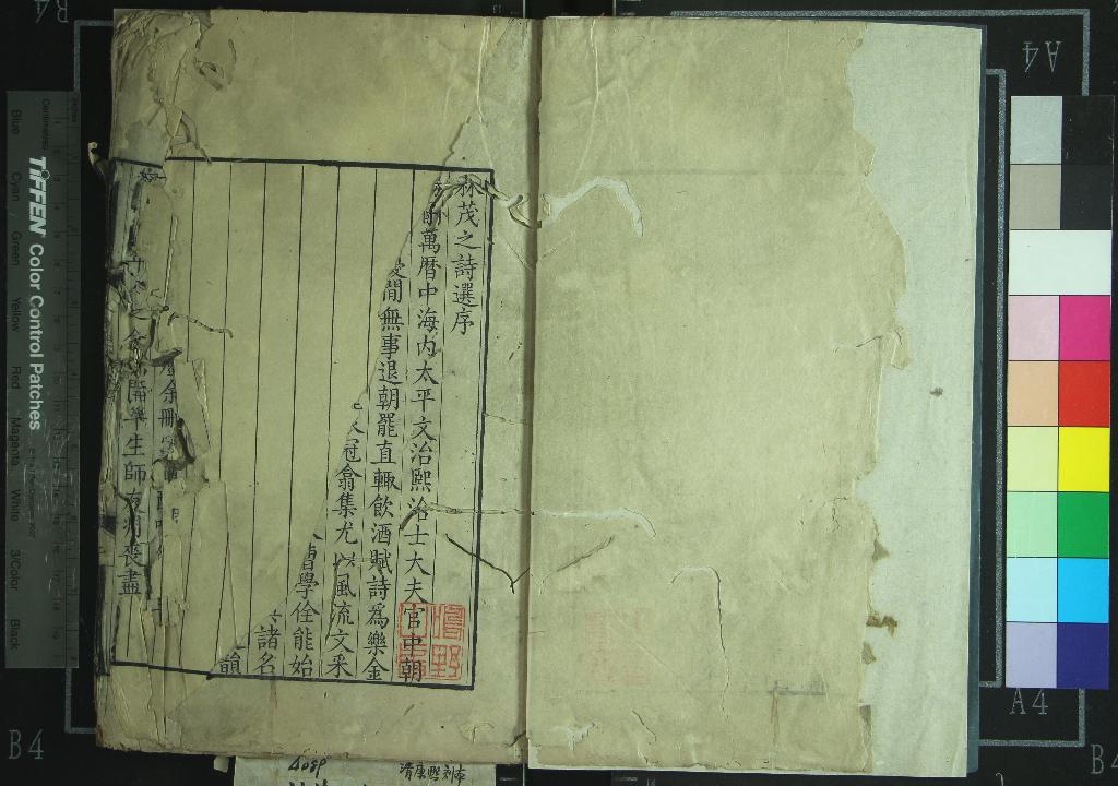 《林茂子詩選二卷》作者：(清康熙)清林古度著、清王士禎選  刻本  PDF下载-汉笺公版书