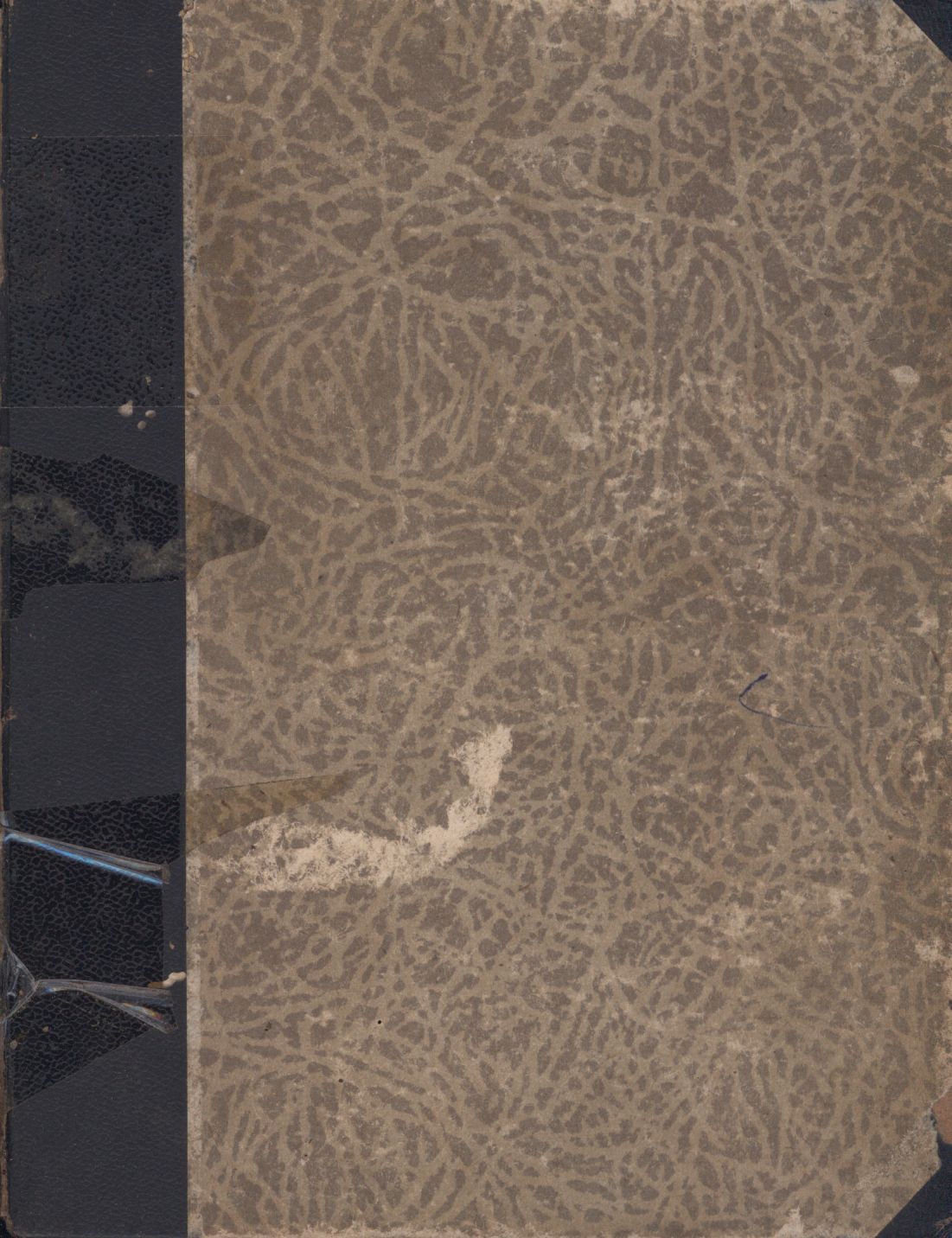 《愛情的來源》 作者:朱洗著 1946年  PDF下载-汉笺公版书